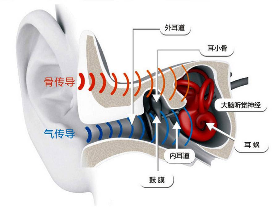 骨导助听器原理图